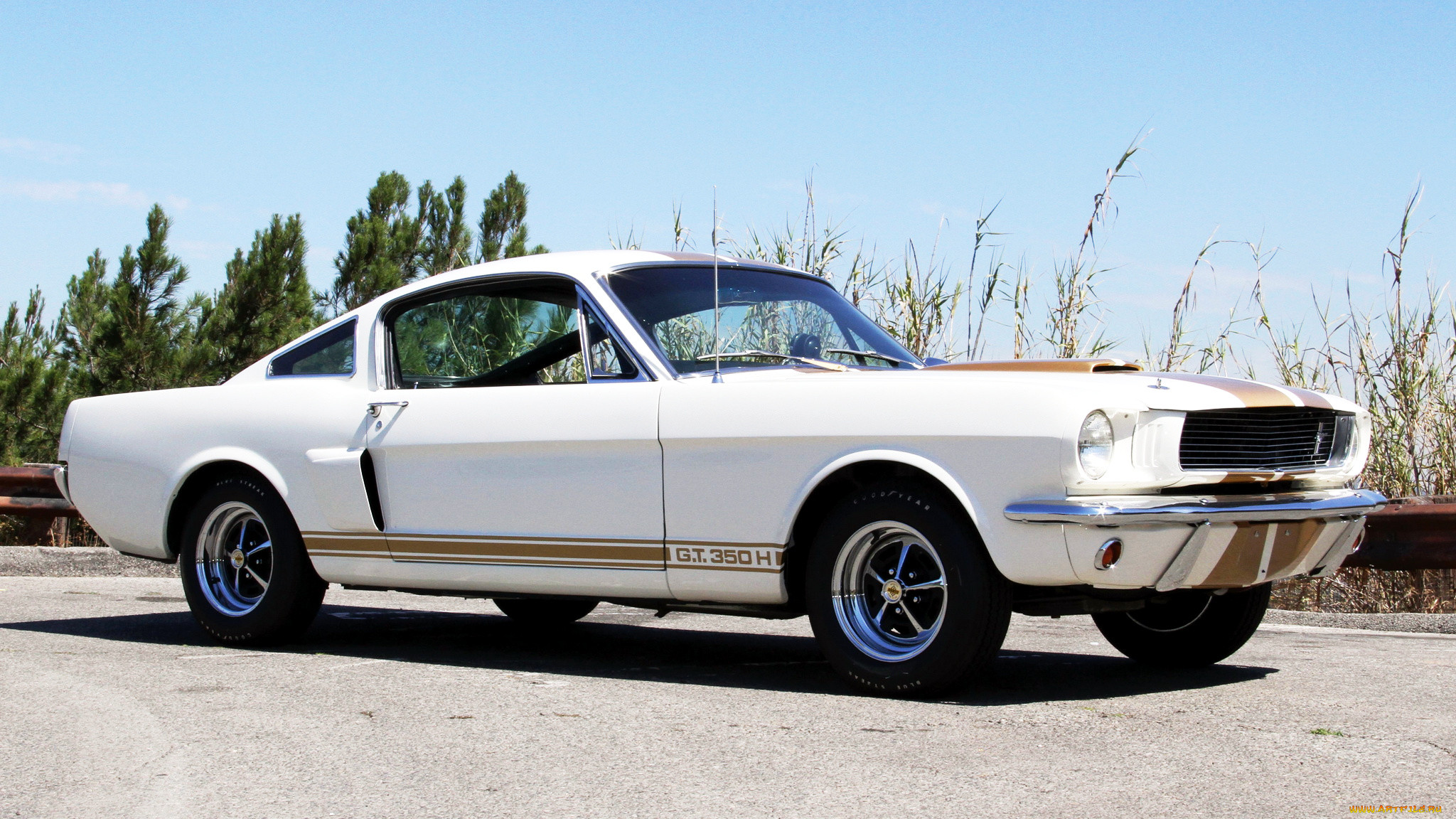 ford, mustang, , motor, company, , , 